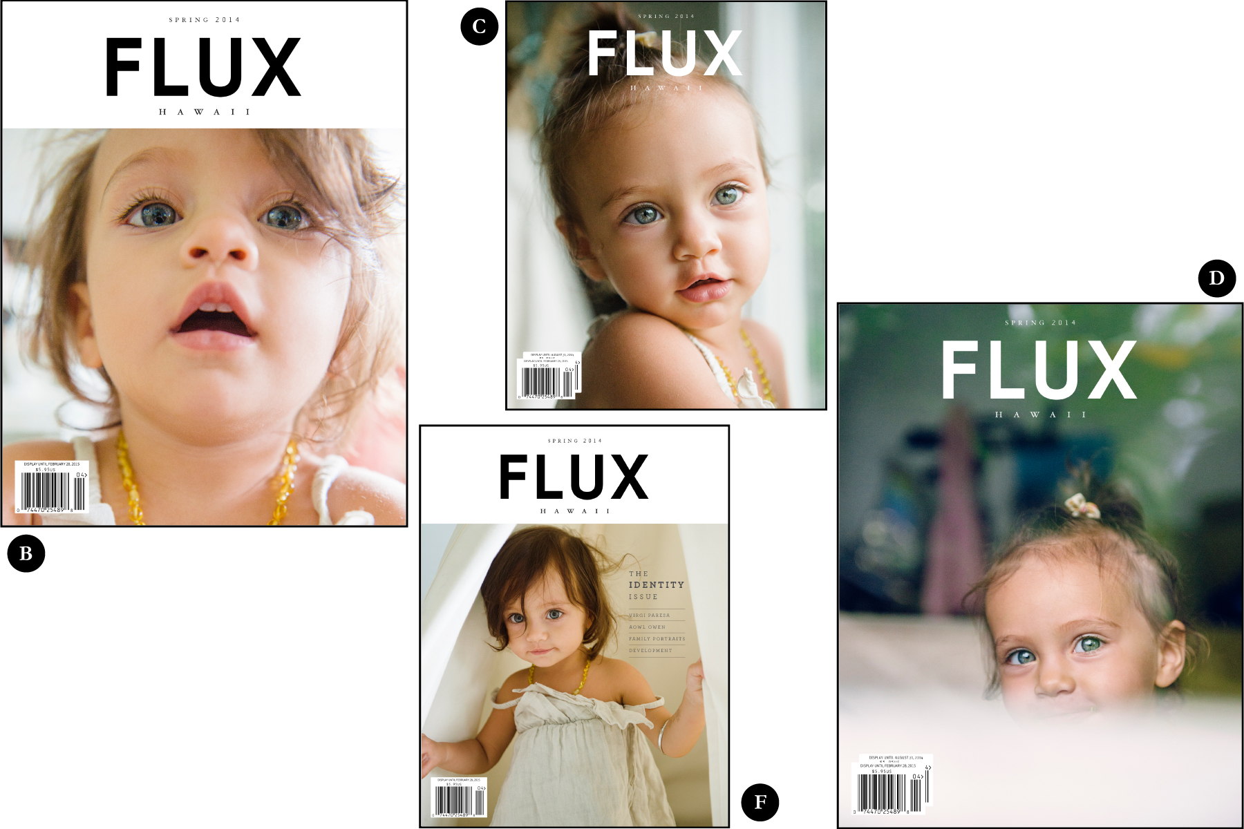 FLUX Hawaii Identity covers