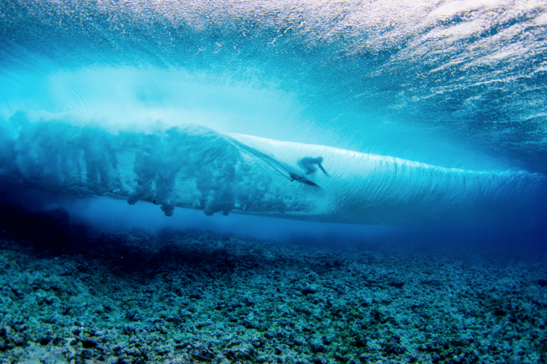 This Weekend, a Visual Spectacle on Display » FLUX