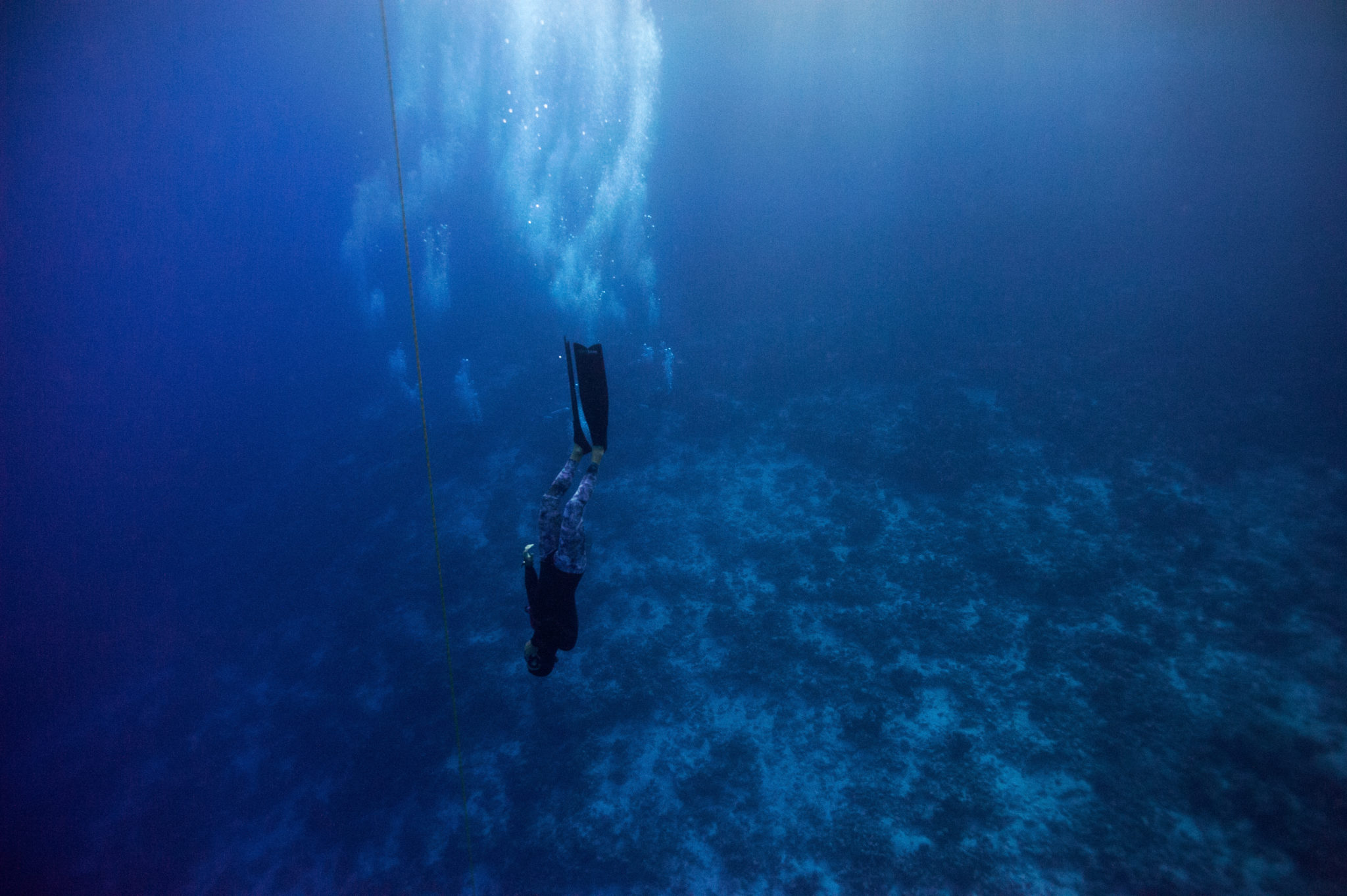 freediving hawaii
