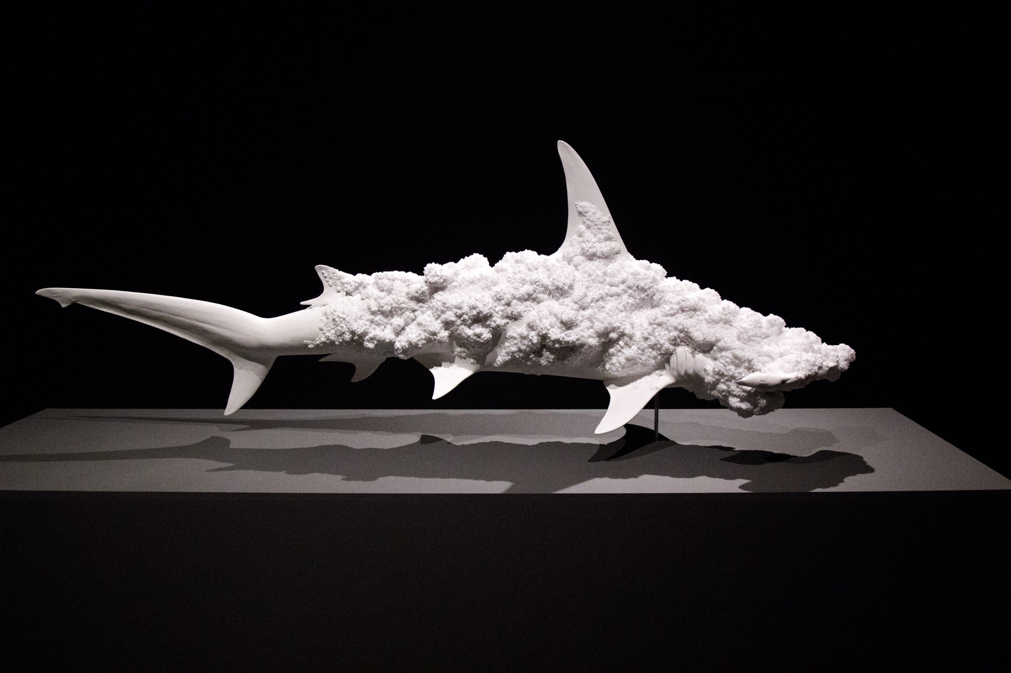 Abstruction: The Sculptures of Erick Swenson