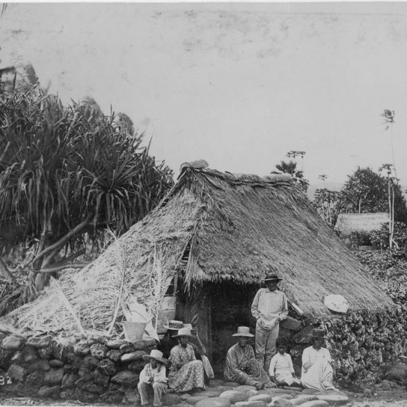Hawaiian genealogy