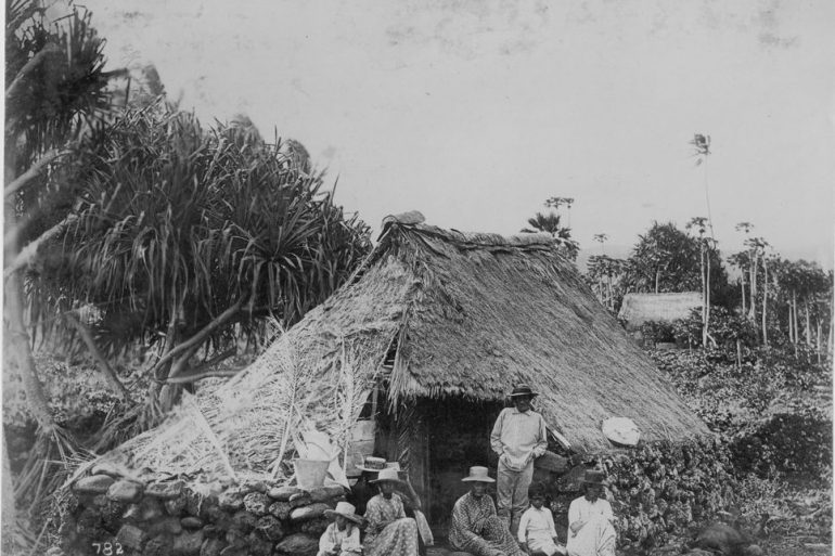 Hawaiian genealogy