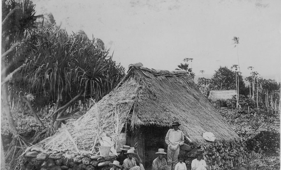 Hawaiian genealogy
