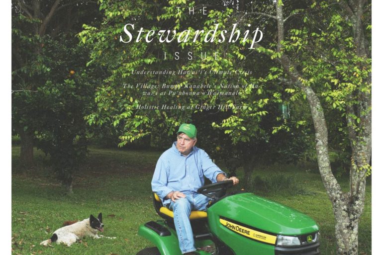 FLUX Cover of Issue 14: Stewardship