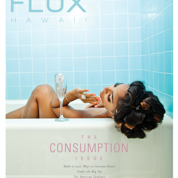 FLUX Cover of Issue 18: Consumption