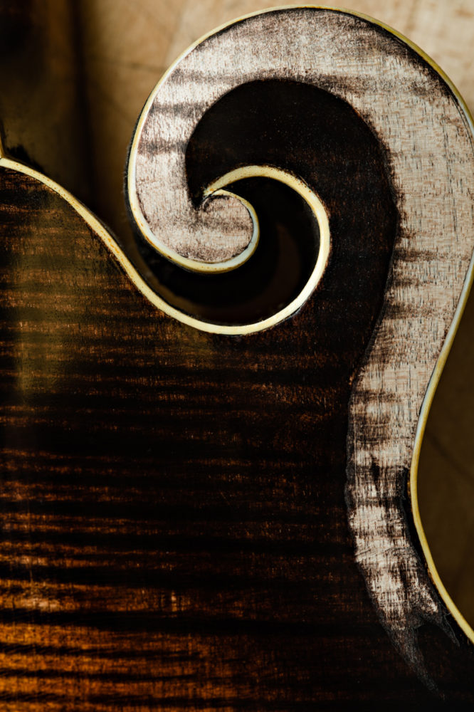 detail on string instrument