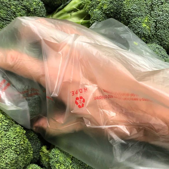 Pandemic Essays Hawaii