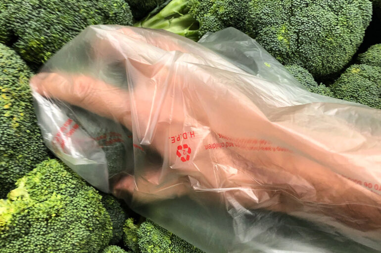 Pandemic Essays Hawaii