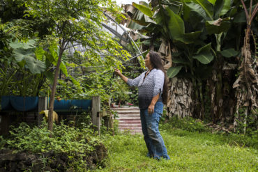 maona community gardens