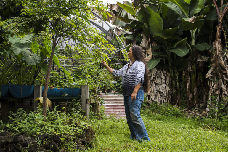 maona community gardens