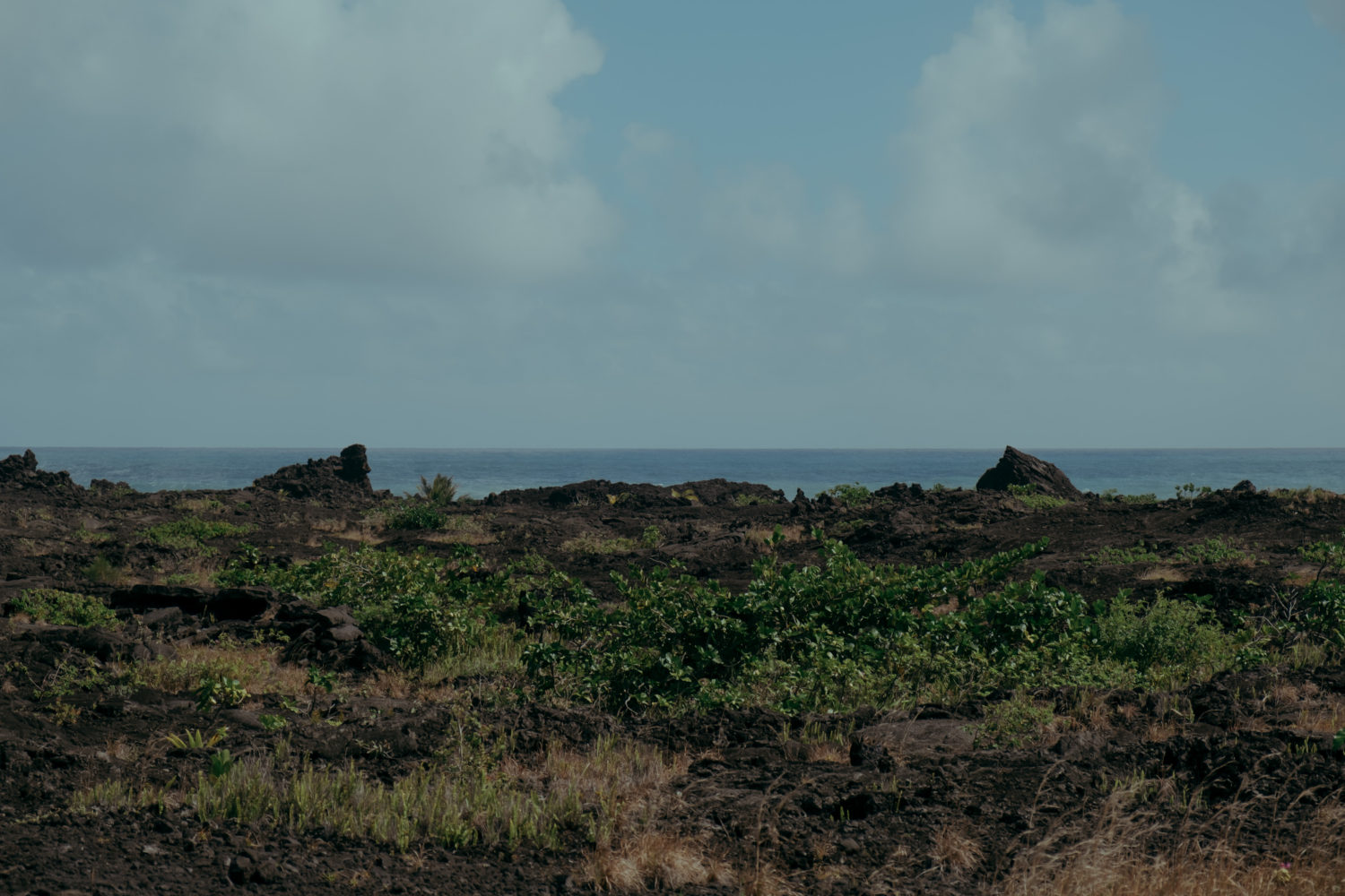 The landscape of Kumukahi, Puna, Hawaii Island.