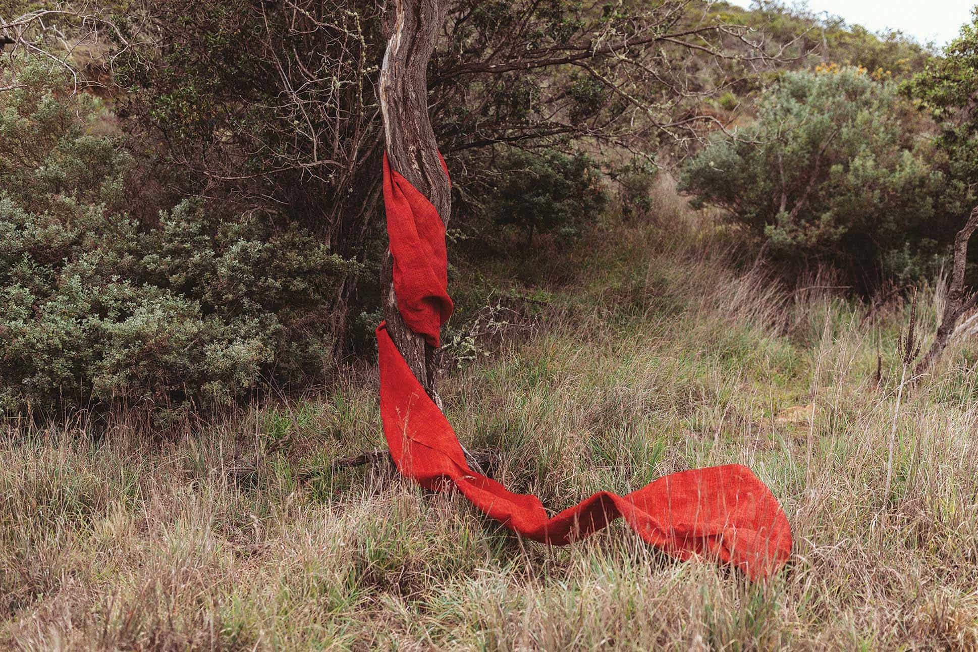 a red blanket wrapped around a tree trunk placed by two ceremonialists.