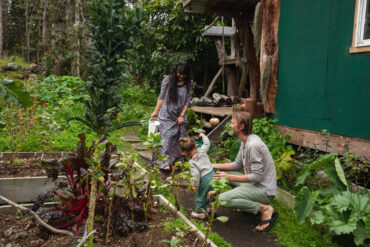 waiala ahn kau hawaii dye