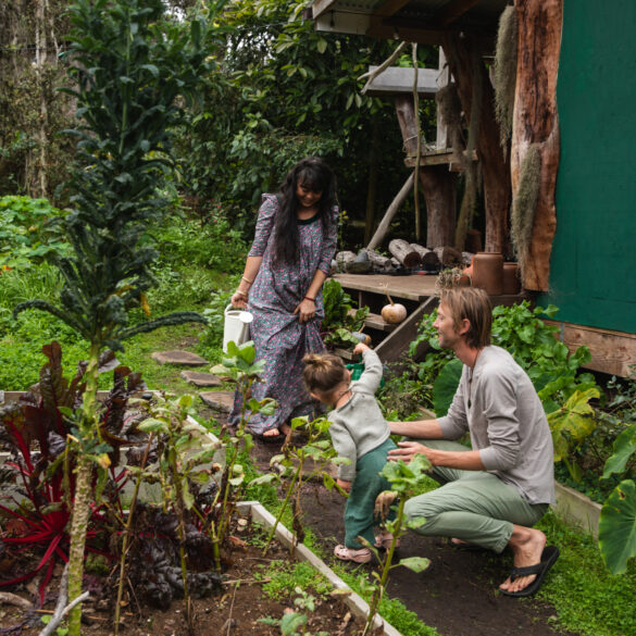 waiala ahn kau hawaii dye
