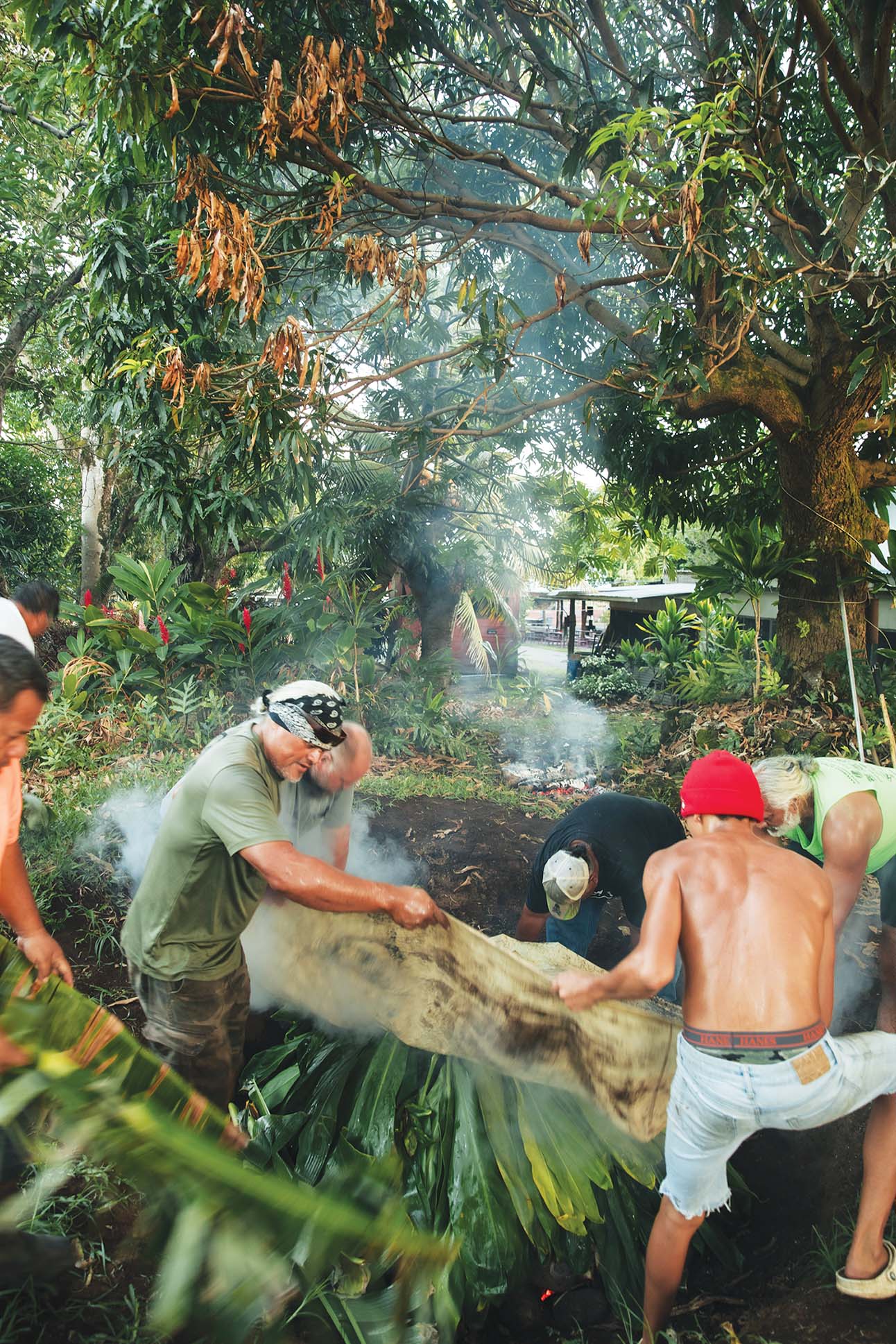 a group of men working in a forest