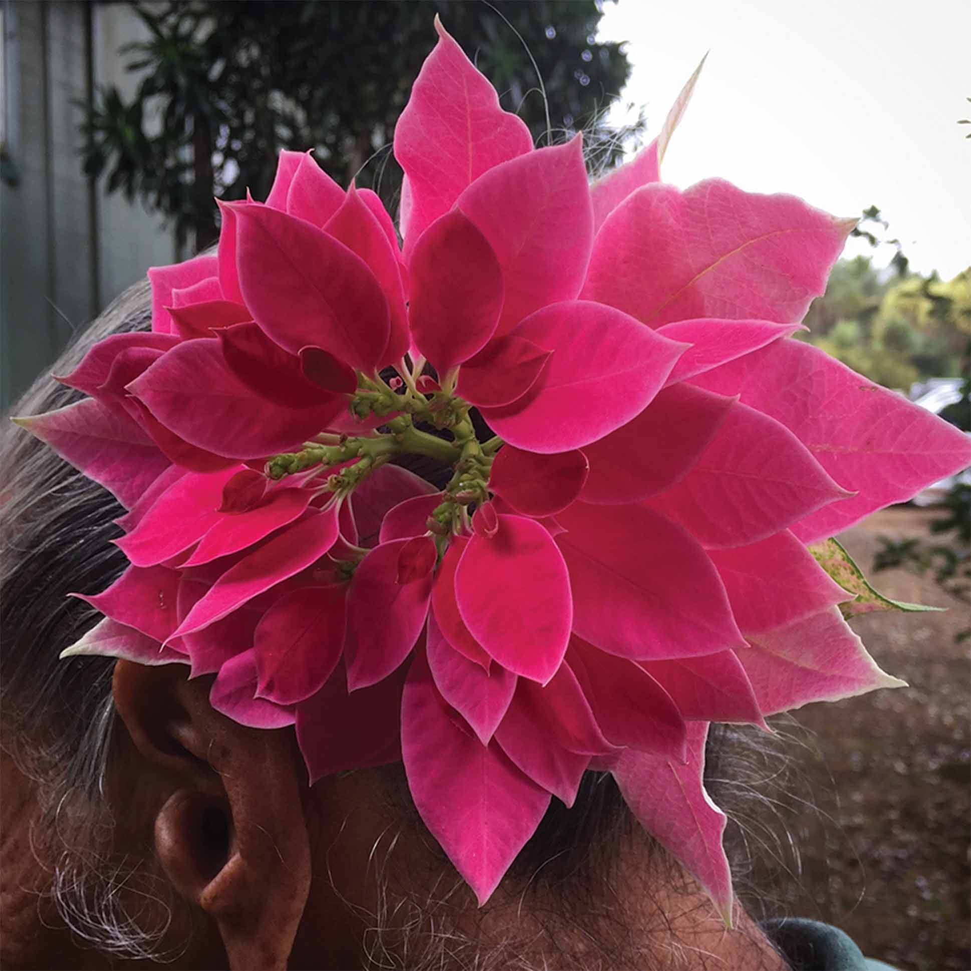 a person with a floral headpiece in a bright magenta color