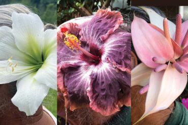 a close up of a flower