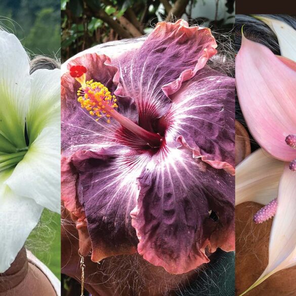 a close up of a flower