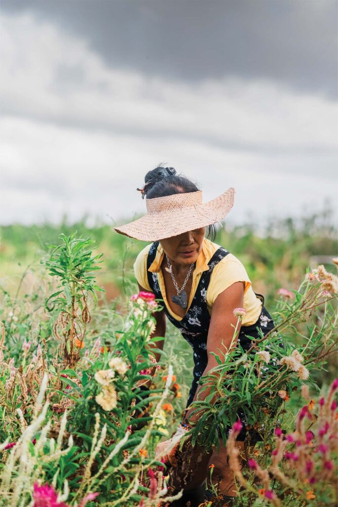 A Guide to Waialua for the Sustainably Minded » FLUX