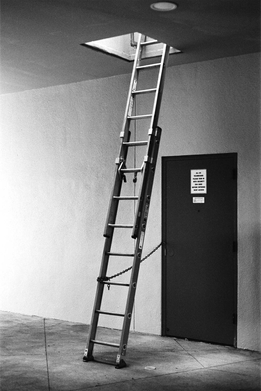 Liminal Image Ladder Getting Lost in Hawaiʻi’s Liminal Spaces » FLUX